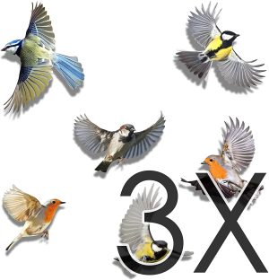 Oiseaux (set de 6 oiseaux) - Autocollants décoratifs ou anticollision d'oiseaux - Pour fenêtre, mur, etc.